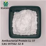 Antibacterial Protein LL-37
