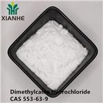 Dimethylcaine hydrochloride