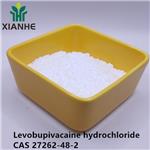 Levobupivacaine hydrochloride