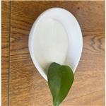 (S)-3,3-Dimethyl-2-((1R,2R)-2-pent-4-ynyl-cyclopropoxycarbonylamino)-butyric acid