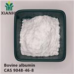 Bovine albumin