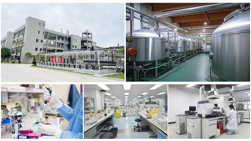 Article illustration