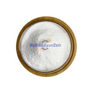 Tebipenem Pivoxil