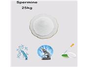  Spermine