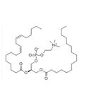 Lecithin