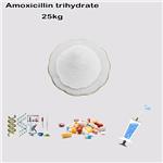 Amoxicillin Trihydrate