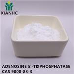 ADENOSINE 5'-TRIPHOSPHATASE