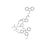 5'-O-DMTr-N6-Fmoc-dA-phosphoramidite