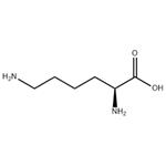 L-Lysine Base