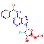 N6-Benzoyl-2'-Fluoro-2'-deoxyadenosine
