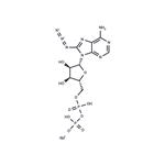 8-Azido-ADP disodium pictures
