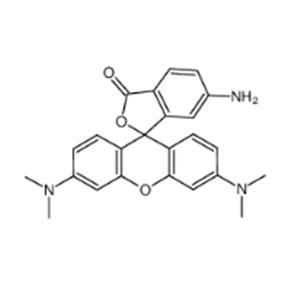 6-Aminotetramethylrhodamine