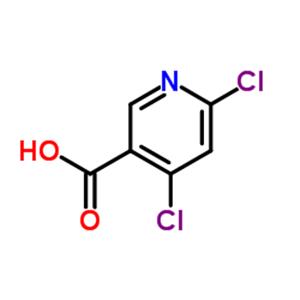 4,6-Dichloronicotinic acid