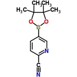2-Cyanopyridine-5-boronic acid pinacol ester