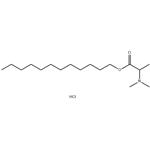 Dodecyl 2-(N,N-dimethylamino)propionate Hcl