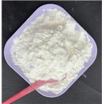 Lidocaine Hcl