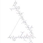Atrial Natriuretic Peptide (7-28), human, canine