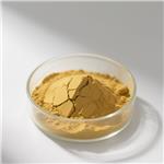 HYDROXYPROPYL CHITOSAN