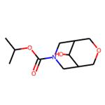 Isopropyl 9-hydroxy-3-oxa-7-azabicyclo[3.3.1]nonane-7-carboxylate