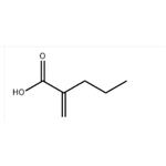 POLY(2-PROPYLACRYLIC ACID)
