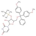 5'-DMT-3'-TBDMS-rU