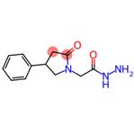 2-Oxo-4-phenylpyrrolidine-1-acetic acid hydrazide