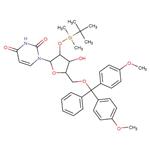 5'-DMT-2'-TBDMS-RU