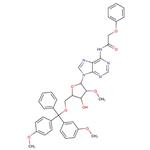 5'-O-DMT-2'-O-methyl-N6-phenoxyacetyl-D-adenosine