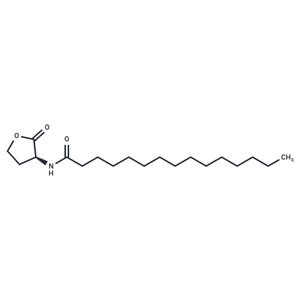 N-pentadecanoyl-L-Homoserine lactone