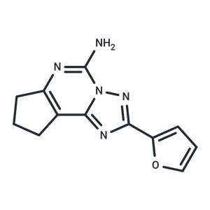 Cgs 21197