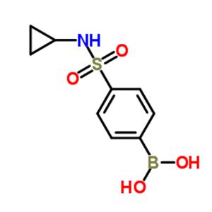 [4-(Cyclopropylsulfamoyl)phenyl]boronic acid