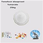 202138-50-9 Tenofovir disoproxil fumarate