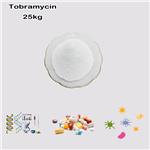 32986-56-4 Tobramycin Base