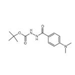 N-Boc-N'-[4-(N,N-dimethylamino)benzoyl]hydrazine
