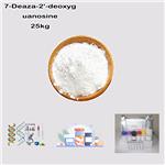 7-Deaza-2'-deoxyguanosine