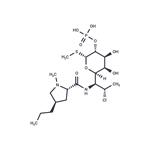 24729-96-2 Clindamycin phosphate