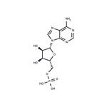 61-19-8 Adenosine monophosphate