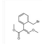 (E)-Methyl-2-(2-bromomethylphenyl)-2-Methoxyiminoacetate