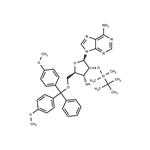 5'-O-(4,4'-Dimethoxytrityl)-2'-O-t-butyldimethylsilyl adenosine