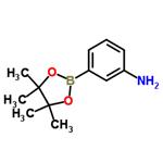 3-aminophenylboronic acid pinacol ester
