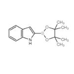 1H-INDOLE-2-BORONIC ACID PINACOL ESTER