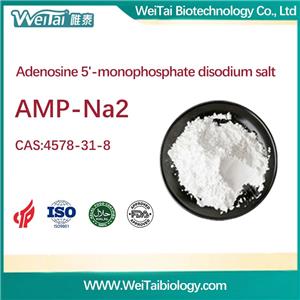Adenosine 5'-monophosphate disodium salt(AMP-NA2)