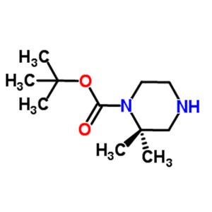 tert-Butyl 2,2-dimethylpiperazine-1-carboxylate