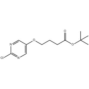 Tert-butyl 4-(2-chloropyrimidin-5-yl)oxybutanoate