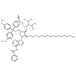N6-Bz-5'-O-DMTr-2'-O-hexadecanyl adenosine 3'-CED phosphoramidite