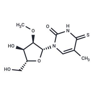 2'-O-Methyl-5-methyl-4-thiouridine