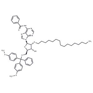 N6-Bz-5'-O-DMTr-2'-O-hexadecanyl adenosine