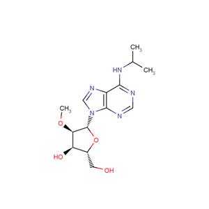 N6-iso-Propyl-2'-O-methyladenosine