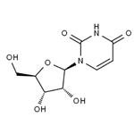 Uridine