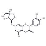 Catechin 7-apioside